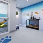 Pet Care - Conect Casa Branca
