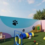 Pet Place - Conect Casa Branca